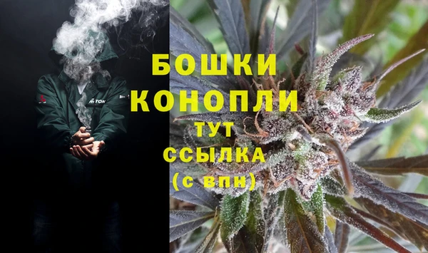 PSILOCYBIN Алексеевка