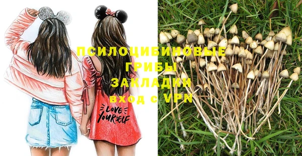 прущие крисы Алзамай