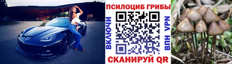 Псилоцибиновые грибы MAGIC MUSHROOMS  купить наркотик  Десногорск 